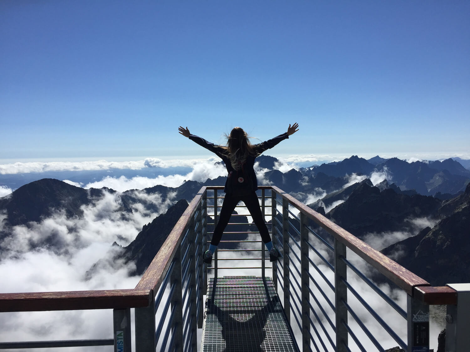 WebInTravel: Frequent Travelers Are Happier Than Non-Travelers