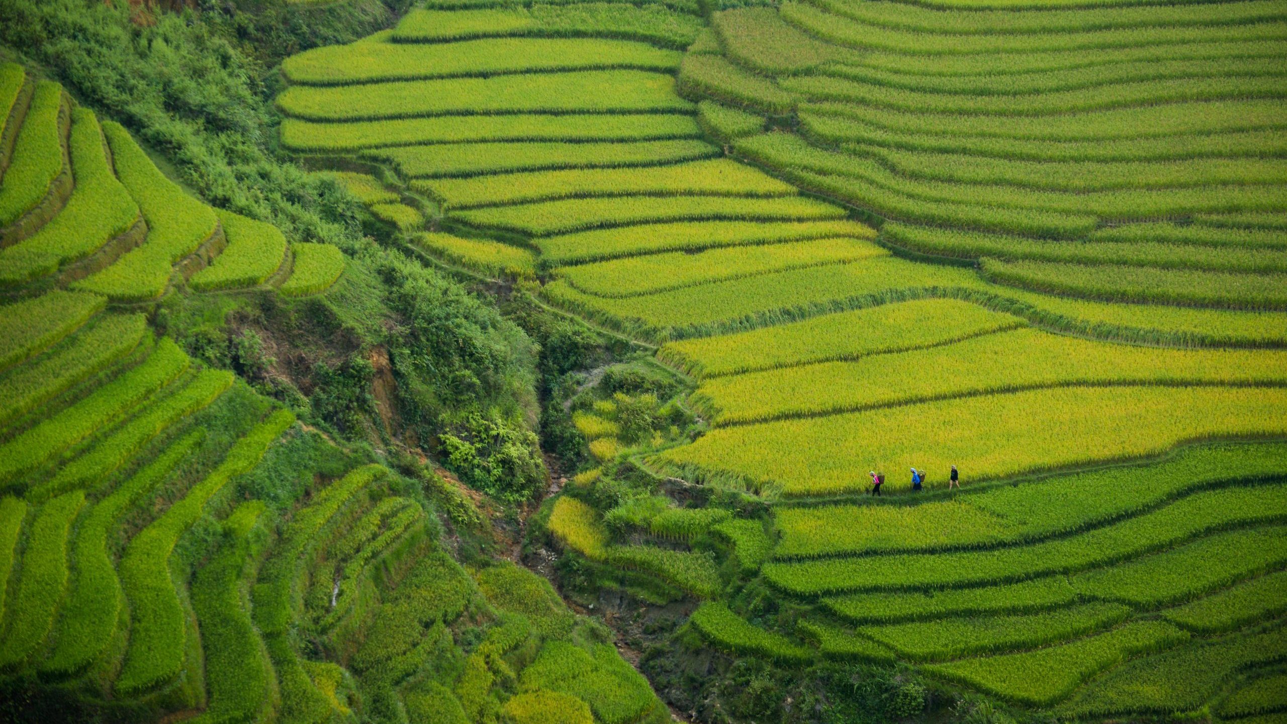 Agoda survey reveals Vietnam’s future travel trends Agoda survey reveals Vietnam’s future travel trends
